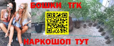 винт Партизанск