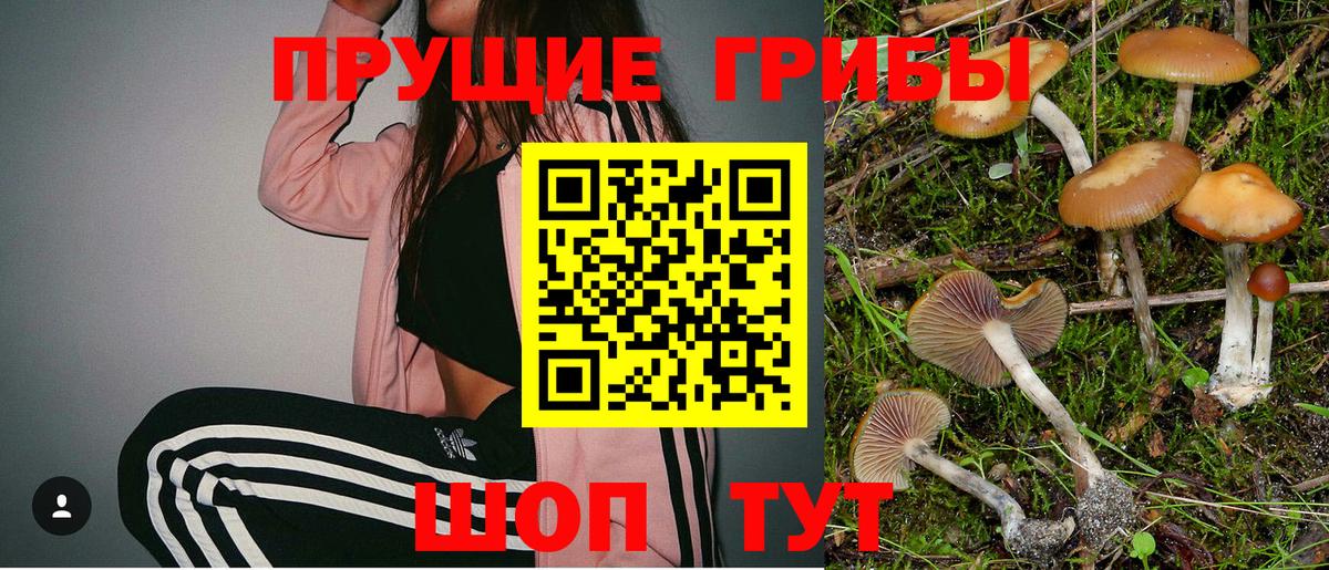 Галлюциногенные грибы мицелий  Вход с VPN  Улан-Удэ 