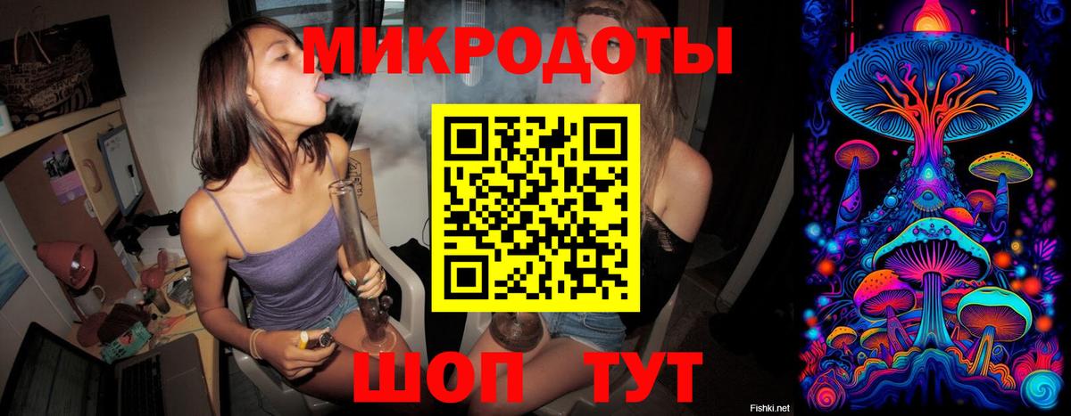 Псилоцибиновые грибы мицелий Улан-Удэ